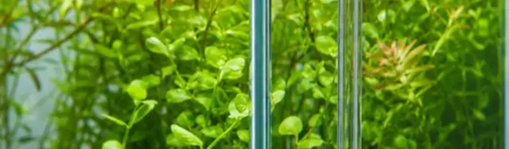 Mangueiras transparentes para aquários